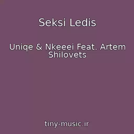 کاور آهنگ Seksi Ledis از Uniqe & Nkeeei Feat. Artem Shilovets