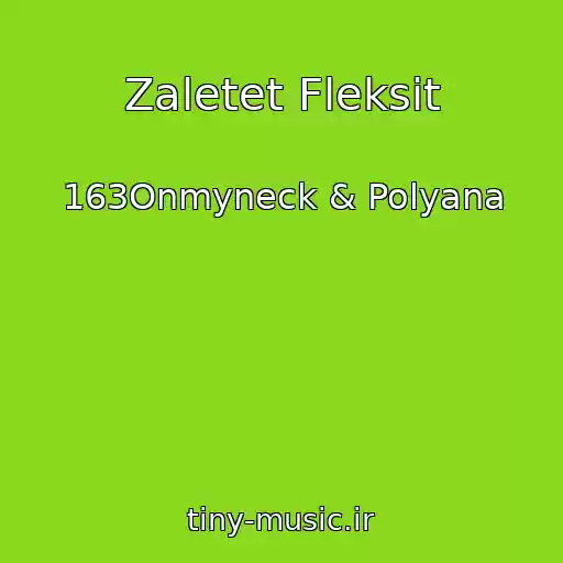 کاور آهنگ Zaletet Fleksit از 163Onmyneck & Polyana