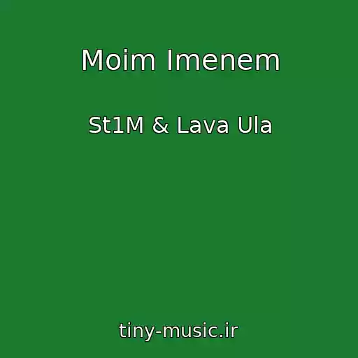 کاور آهنگ Moim Imenem از St1M & Lava Ula