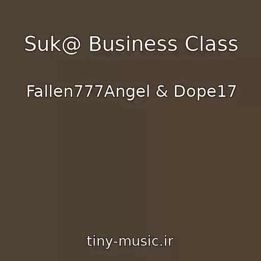 کاور آهنگ Suk@ Business Class از Fallen777Angel & Dope17