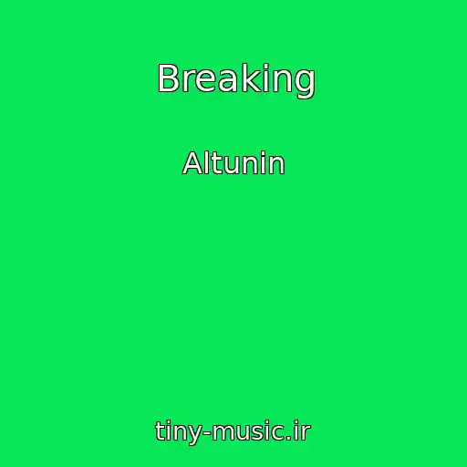 کاور آهنگ Breaking از Altunin