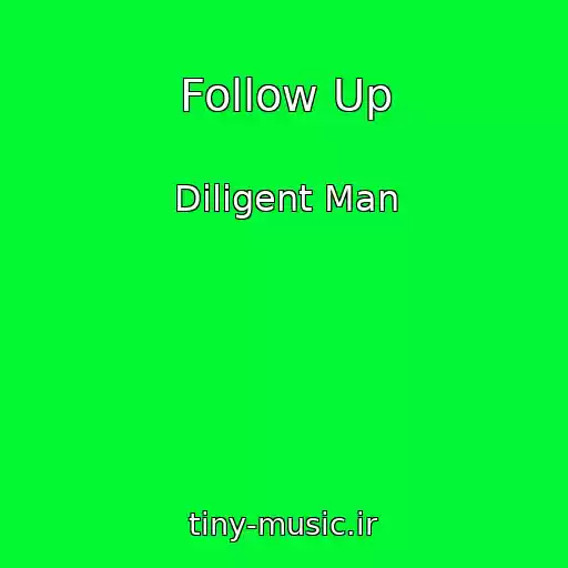 کاور آهنگ Follow Up از Diligent Man