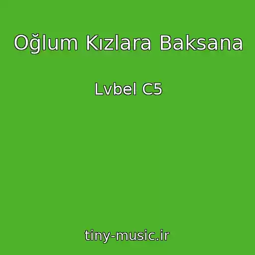کاور آهنگ Oğlum Kızlara Baksana از Lvbel C5