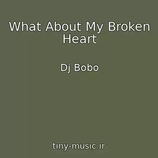 کاور آهنگ What About My Broken Heart از Dj Bobo