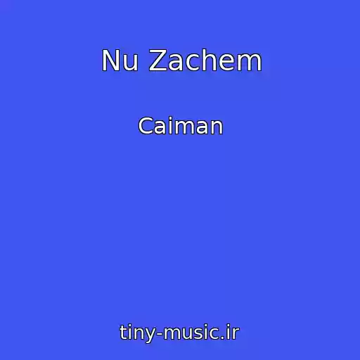 کاور آهنگ Nu Zachem از Caiman