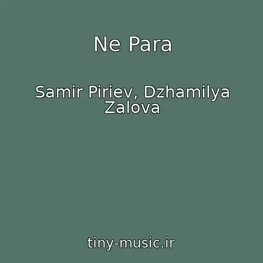 کاور آهنگ Ne Para از Samir Piriev, Dzhamilya Zalova