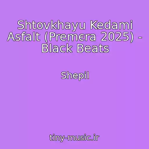 کاور آهنگ Shtovkhayu Kedami Asfalt (Premєra 2025) - Black Beats از Shepil