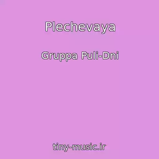 کاور آهنگ Plechevaya از Gruppa Puli-Dni