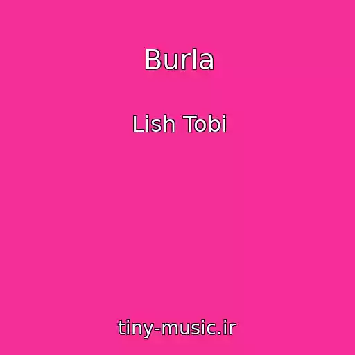 کاور آهنگ Burla از Lish Tobі