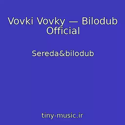 کاور آهنگ Vovki Vovky — Bilodub Official از Sereda&bilodub