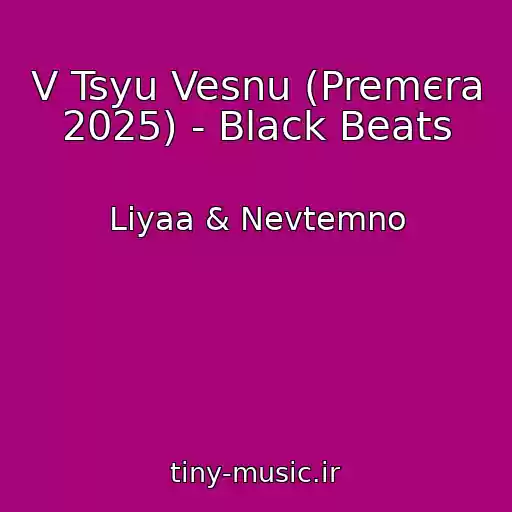 کاور آهنگ V Tsyu Vesnu (Premєra 2025) - Black Beats از Liyaa & Nevtemno