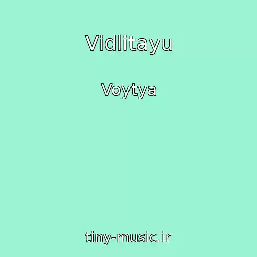 کاور آهنگ Vіdlіtayu از Voytya