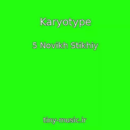 کاور آهنگ Karyotype از 5 Novikh Stikhіy