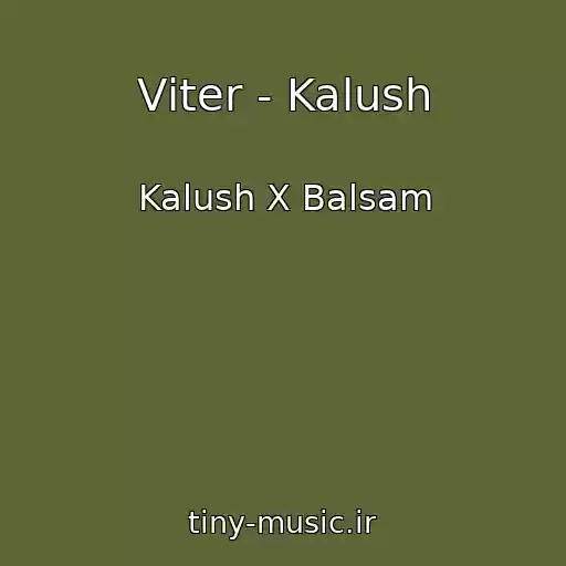 کاور آهنگ Vіter - Kalush از Kalush X Balsam