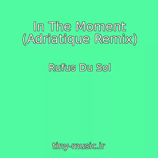 کاور آهنگ In The Moment (Adriatique Remix) از Rufus Du Sol