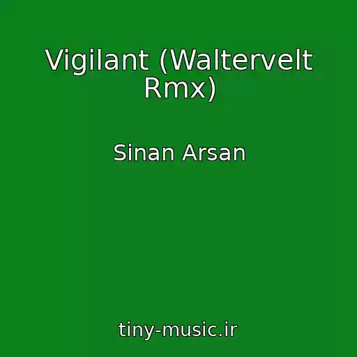 کاور آهنگ Vigilant (Waltervelt Rmx) از Sinan Arsan