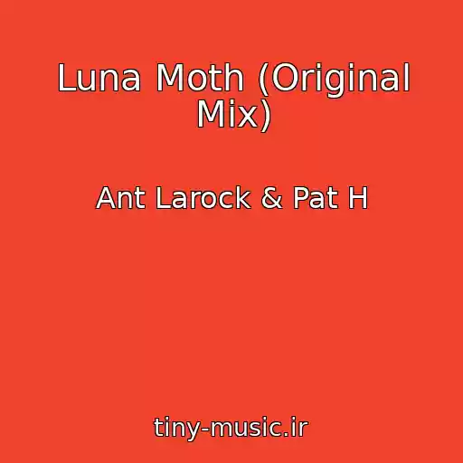 کاور آهنگ Luna Moth (Original Mix) از Ant Larock & Pat H