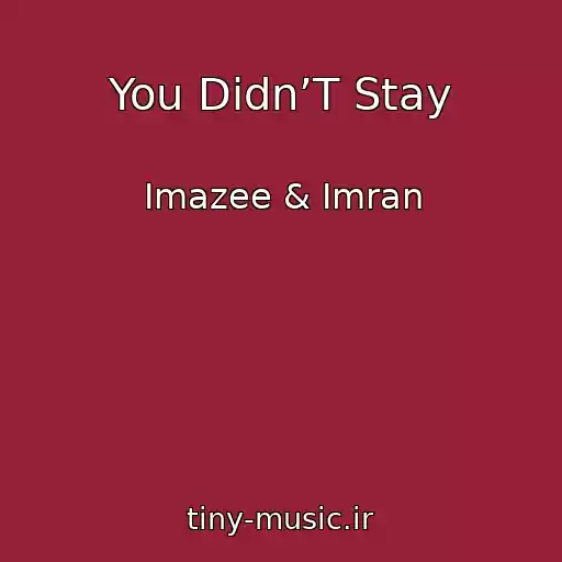 کاور آهنگ You Didn’T Stay از Imazee & Imran