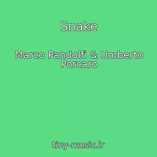 کاور آهنگ Snake از Marco Pandolfi & Umberto Porcaro
