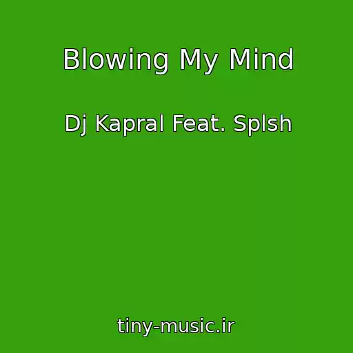 کاور آهنگ Blowing My Mind از Dj Kapral Feat. Splsh