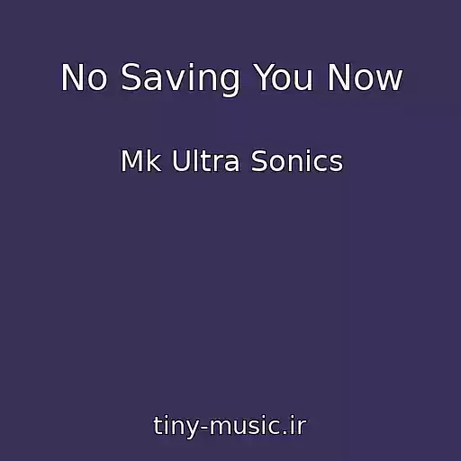 کاور آهنگ No Saving You Now از Mk Ultra Sonics