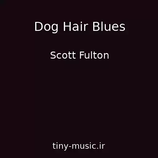 کاور آهنگ Dog Hair Blues از Scott Fulton