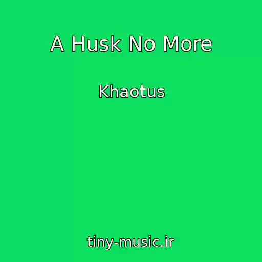 کاور آهنگ A Husk No More از Khaotus