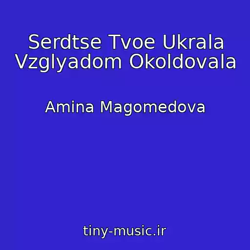 کاور آهنگ Serdtse Tvoe Ukrala Vzglyadom Okoldovala از Amina Magomedova
