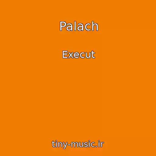 کاور آهنگ Palach از Execut