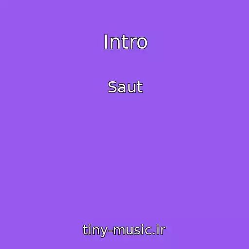 کاور آهنگ Intro از Saut