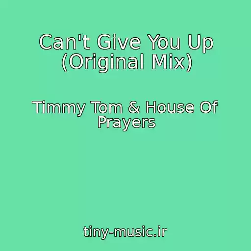 کاور آهنگ Can't Give You Up (Original Mix) از Timmy Tom & House Of Prayers