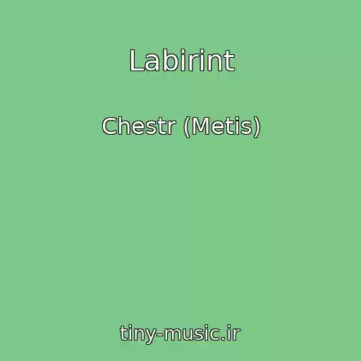 کاور آهنگ Labirint از Chestr (Metis)