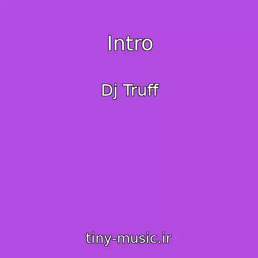 کاور آهنگ Intro از Dj Truff