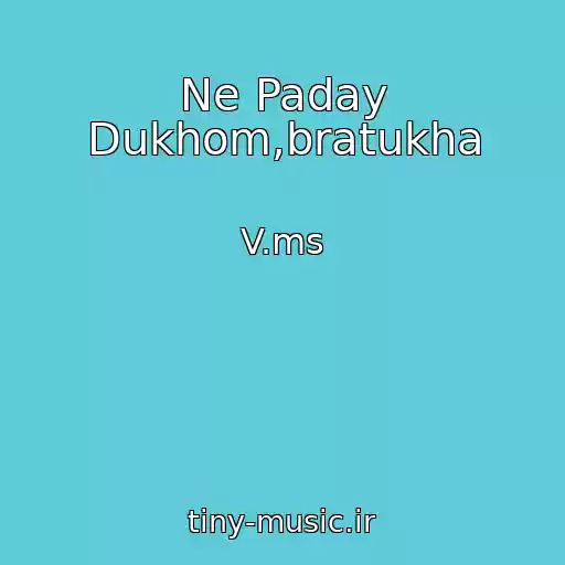 کاور آهنگ Ne Paday Dukhom,bratukha از V.ms