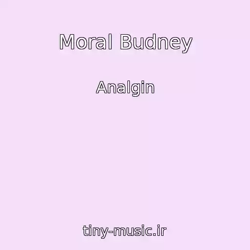 کاور آهنگ Moral Budney از Analgin