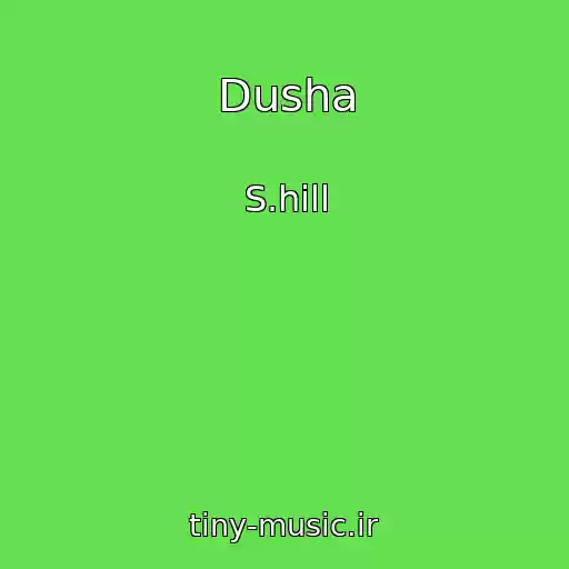 کاور آهنگ Dusha از S.hill