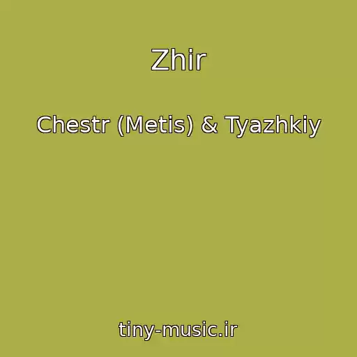 کاور آهنگ Zhir از Chestr (Metis) & Tyazhkiy
