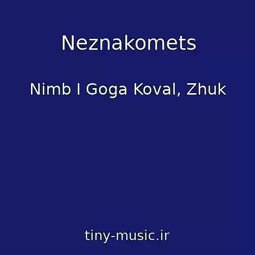 کاور آهنگ Neznakomets از Nimb I Goga Koval, Zhuk