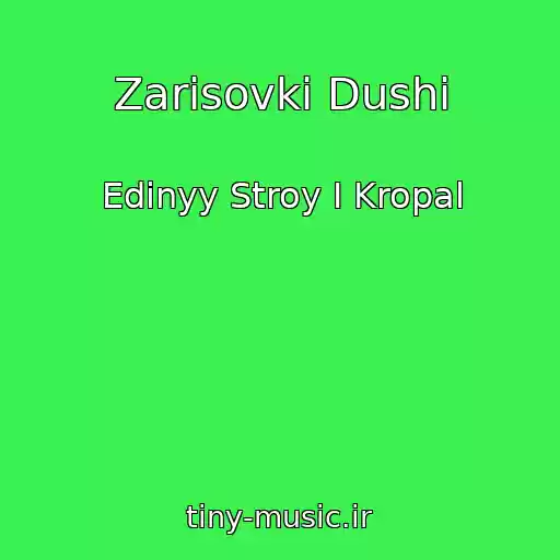 کاور آهنگ Zarisovki Dushi از Edinyy Stroy I Kropal