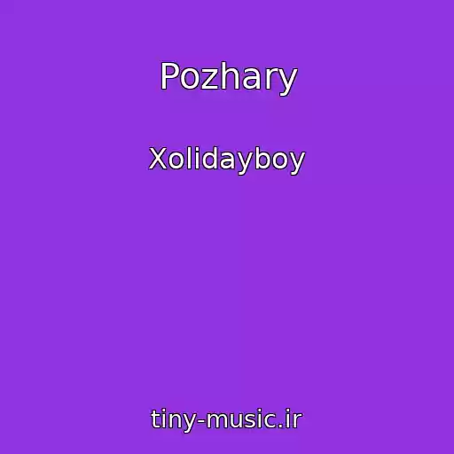 کاور آهنگ Pozhary از Xolidayboy