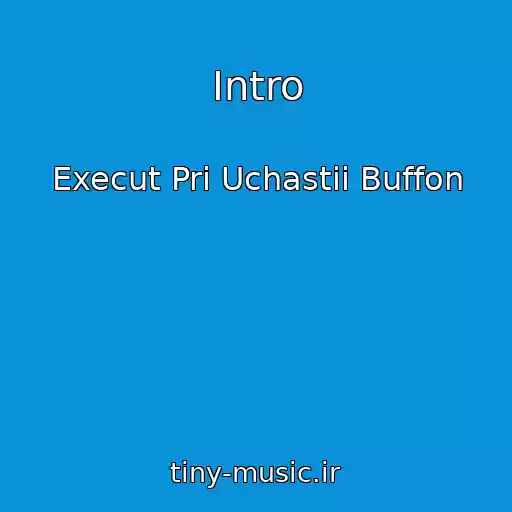 کاور آهنگ Intro از Execut Pri Uchastii Buffon