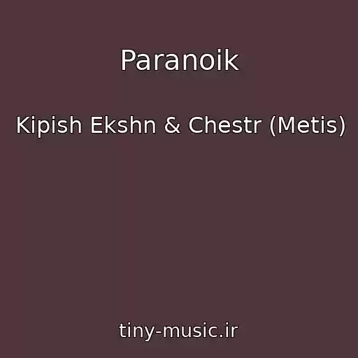 کاور آهنگ Paranoik از Kipish Ekshn & Chestr (Metis)