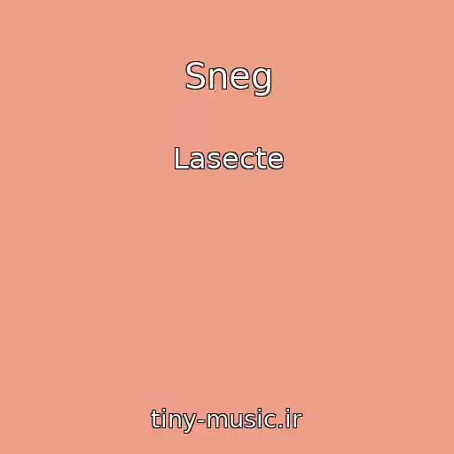 کاور آهنگ Sneg از Lasecte