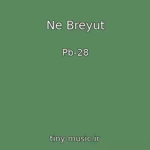 کاور آهنگ Ne Breyut از Pb-28