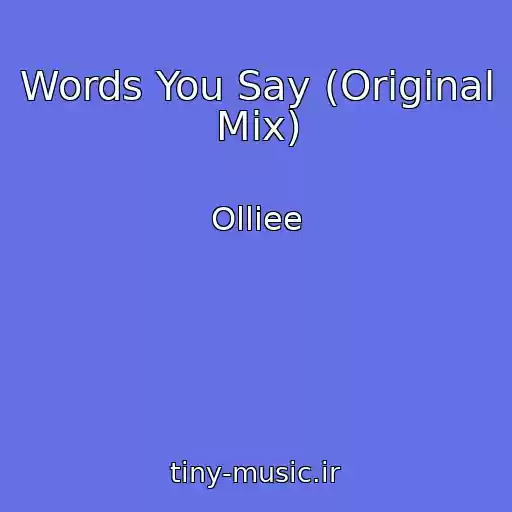 کاور آهنگ Words You Say (Original Mix) از Olliee