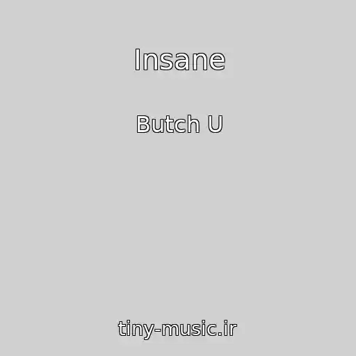 کاور آهنگ Insane از Butch U