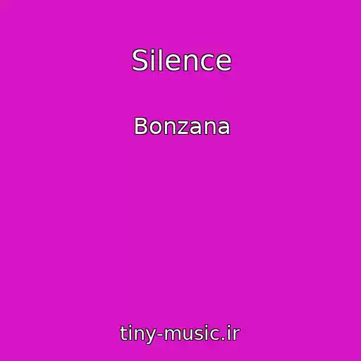کاور آهنگ Silence از Bonzana
