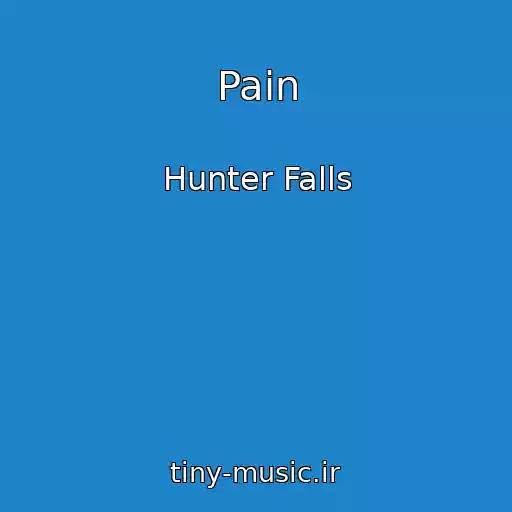 کاور آهنگ Pain از Hunter Falls