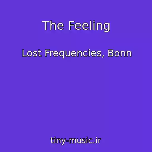 کاور آهنگ The Feeling از Lost Frequencies, Bonn