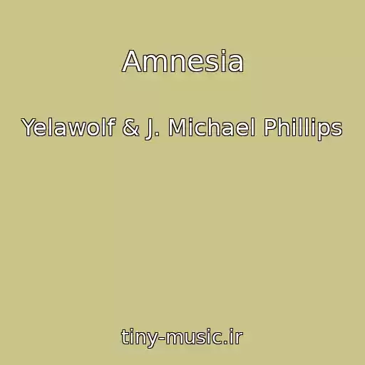کاور آهنگ Amnesia از Yelawolf & J. Michael Phillips